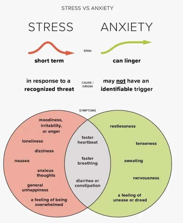 Calm reflective woman sitting peacefully