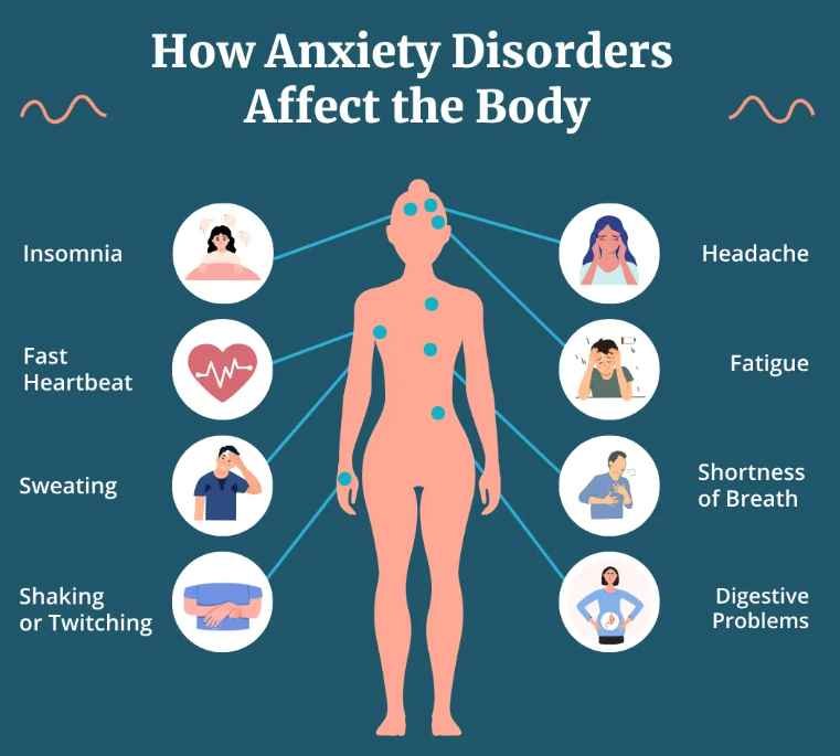 how anxiety disorders affect the body
